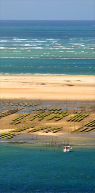 Banque d'images personnelle photographe, illustrations, décoration, posters, photos d'art, publicité
